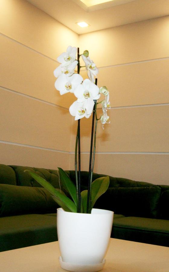 Apartment Jasmine 2 Beograd Eksteriør bilde